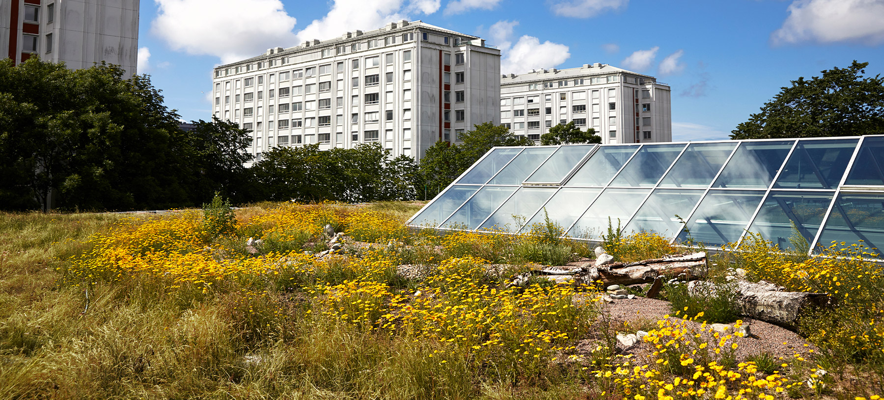 Frölunda Kulturhus gröna tak och takfönster i glas.