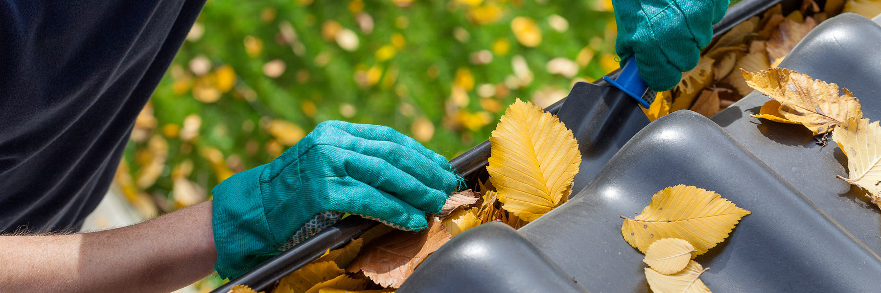 Man rensar en takränna på höstlöv.